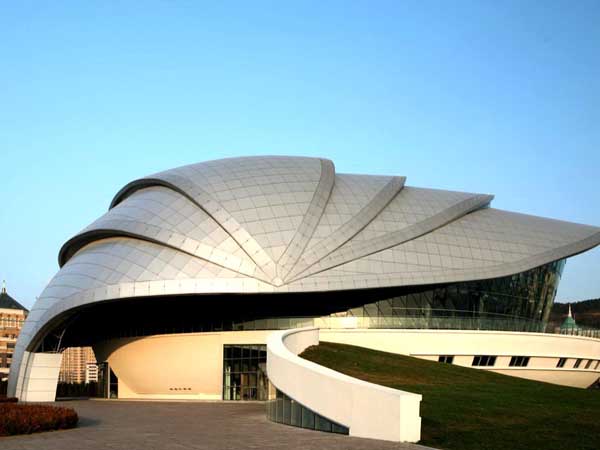 肥城贝壳网架工程